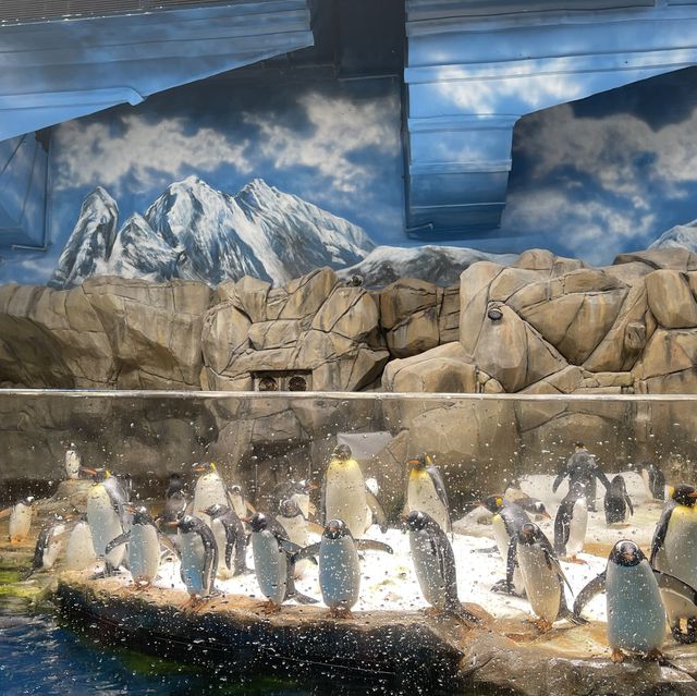 久違的海洋公園！