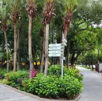 圍封多時，休養生息後的公園及海灘