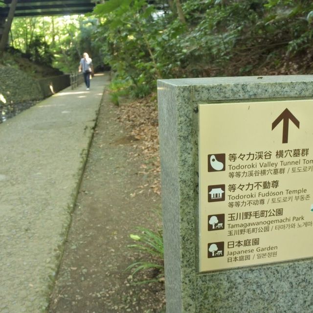 東京の等々力渓谷