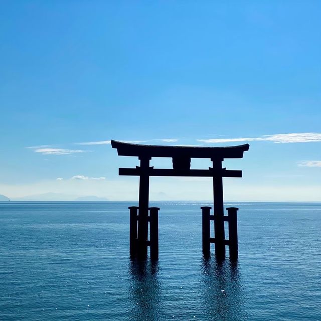 【滋賀県】近江最古の大社でパワーチャージ⛩