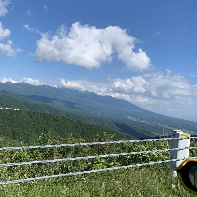 この時期におすすめのドライブコース☀️