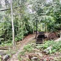 Penang National Park