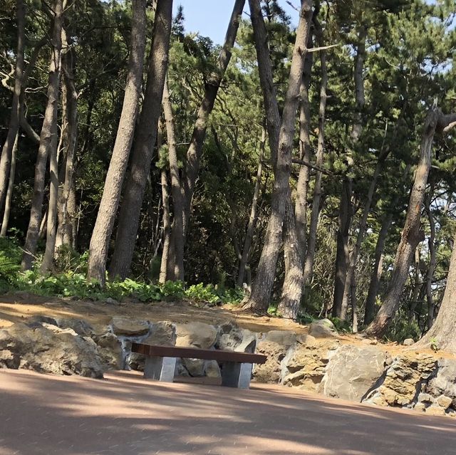 【静岡県】城ヶ崎海岸で青い海と森林浴を楽しむ！