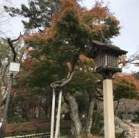 🇯🇵 參觀戰國名將的邸宅 — 岐阜公園及百曲登山道