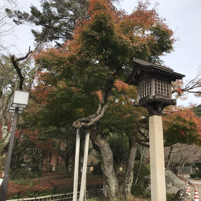 🇯🇵 參觀戰國名將的邸宅 — 岐阜公園及百曲登山道