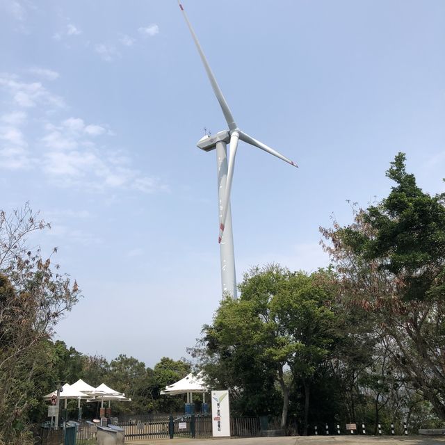 南丫島半日遊⭕️遠離市區呼吸👃新鮮空氣感受大自然