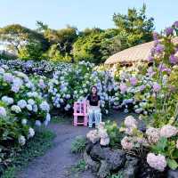 JeJu Folk Village
