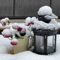 Snow Surprise @Munich