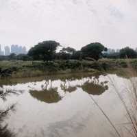 Tranquil Nam Sang Wai, Hong Kong 