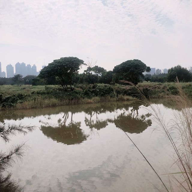 Tranquil Nam Sang Wai, Hong Kong 