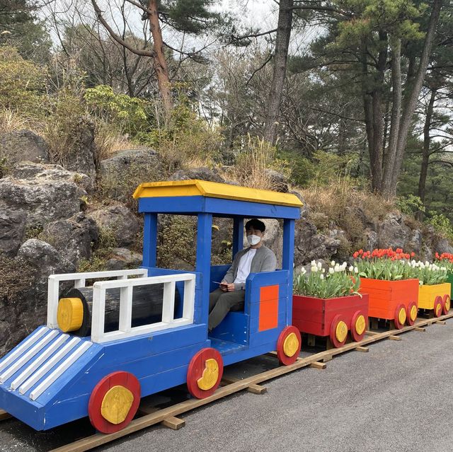 꽃밭의 향연 제주 상효원 