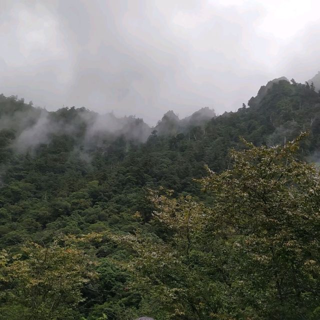 明池2天一夜遊