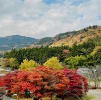 日本各地红葉