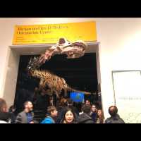 มาเที่ยว American Museum of Natural History ค่ะ