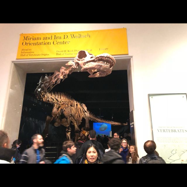 มาเที่ยว American Museum of Natural History ค่ะ