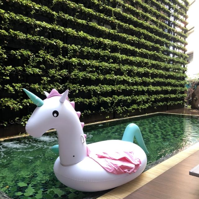 Swimming pool and gym at X Vibe Chiang Mai Decem