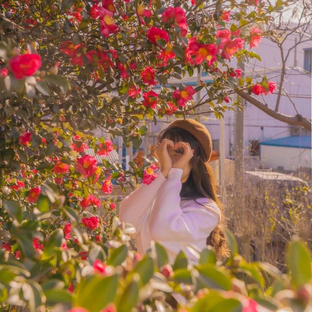 🌺비행기없이 부산에서 동백을 만날 수 있는곳 [부산, 사상 강변대로]🌺