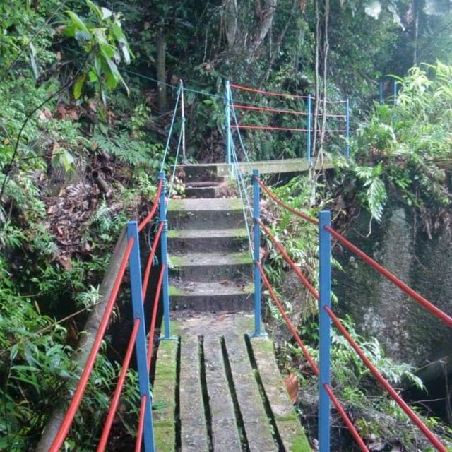 Hiking At Penang National Park