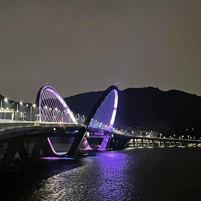 香港🇭🇰新地標😌將軍澳跨灣大橋
