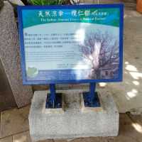 澎湖七美島