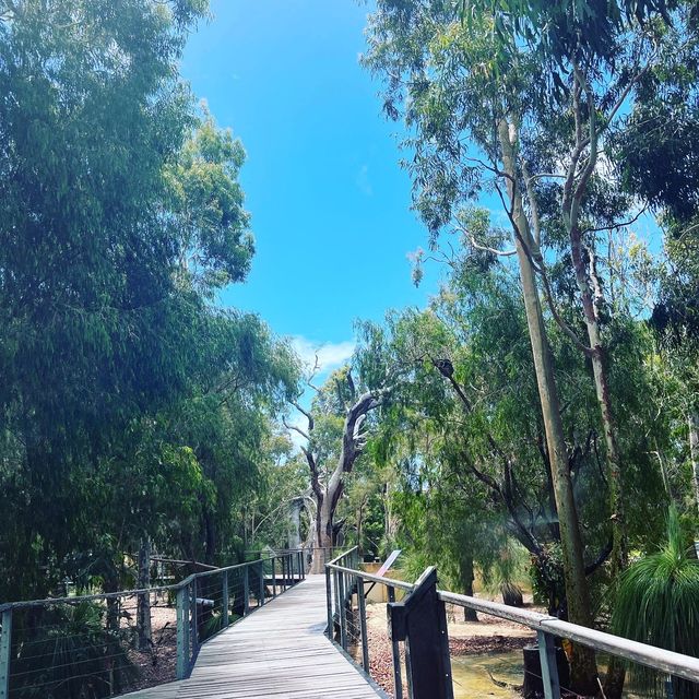Yanchep National ParkπIncredible Trailsππ€ Yanchep National ParkπIncredible Trailsππ€