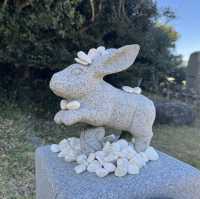 2023年は卯年！白兎神社への参拝