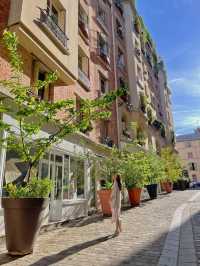 Hidden gem in Paris streets
