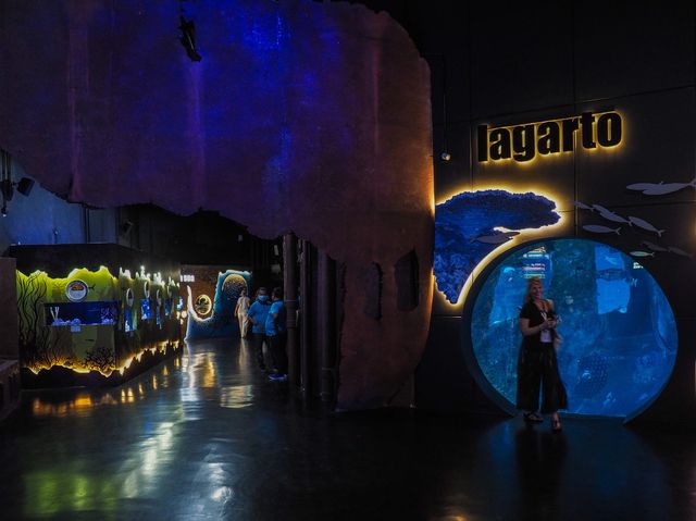 Aquaria Phuket พิพิธภัณฑ์สัตว์น้ำที่ใหญ่ที่สุด