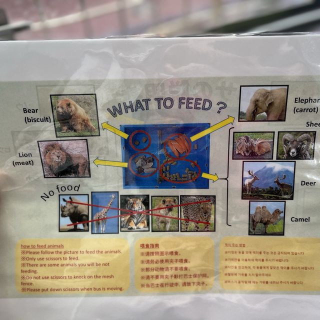 親子旅遊必到景點 - 九州自然動物園