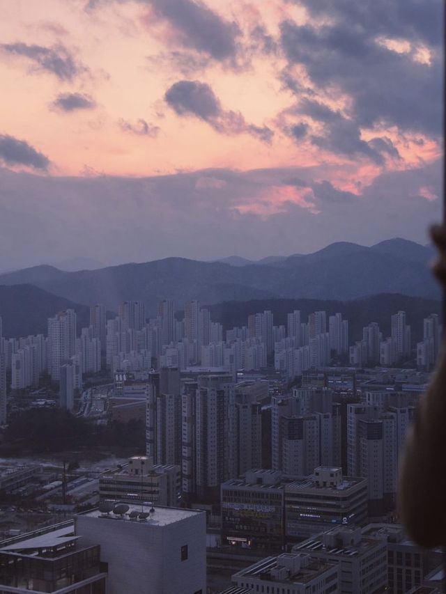 🌃뉴욕 빌딩에 올라와 있는 기분 세종 메타 45카페