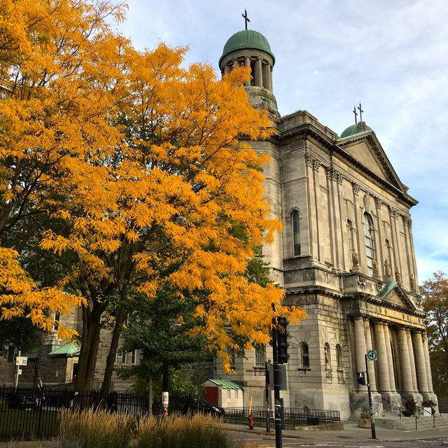 the colors of fall in Montreal, Canada 