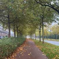 Halloween near Amsterdam