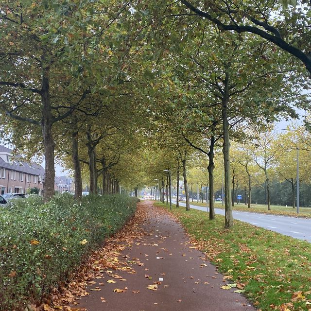 Halloween near Amsterdam