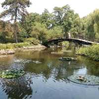 Botanical Garden of the University of Wroclaw