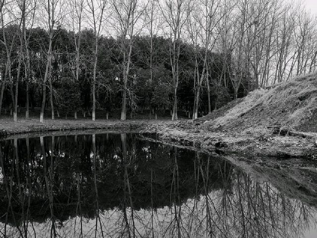 Purifying self at the Tiger Hill Wetland Park