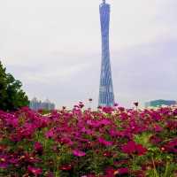 The Canton Tower and Huacheng Square