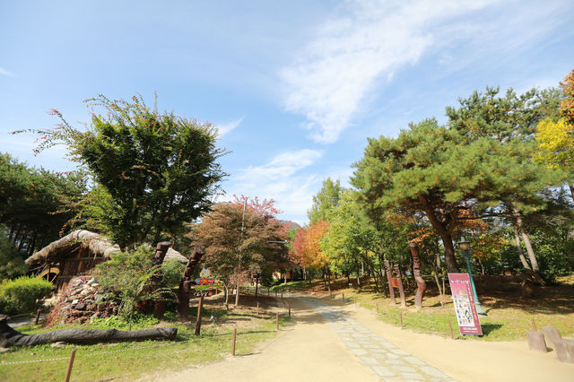 정선 아라리촌 풍경이 너무 예뻐