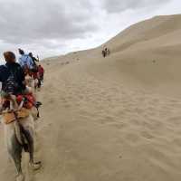 Camel ride in the desert