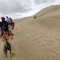 Camel ride in the desert