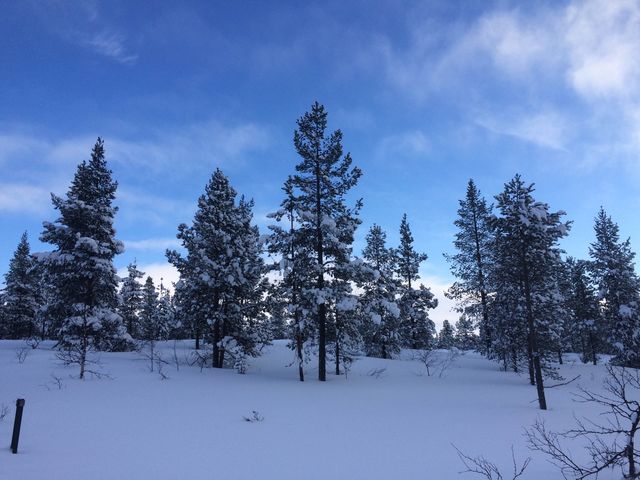 Inari, Northern Lapland, Finland 🇫🇮❄️☃️