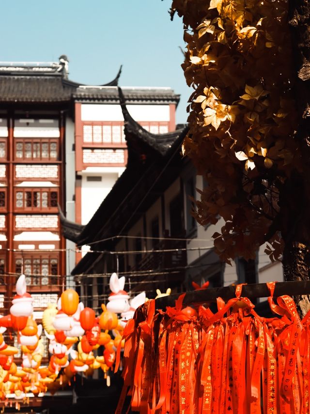 2023 Yu Garden Lantern Festival🐰🏮🇨🇳