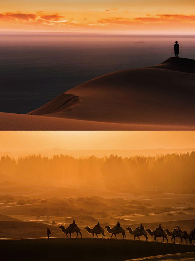 Taklamakan | Xinjiang has more than just grasslands, there are also deserts! A trip to southern Xinjiang.
