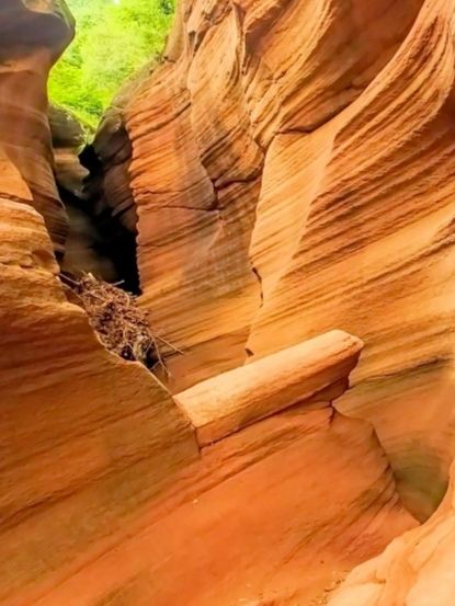 In this lifetime, you must visit the stunning Antelope Canyon touched by God's hand once.