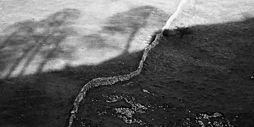 LANDSCAPE PHOTOGRAPHY IS NOT ABOUT THE LAND – PAUL HILL | Victoria Hall