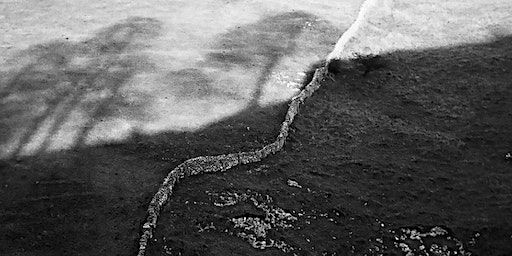 LANDSCAPE PHOTOGRAPHY IS NOT ABOUT THE LAND – PAUL HILL | Victoria Hall