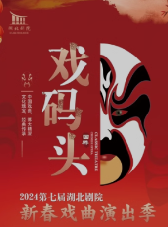 戲曲季:黃梅戲《女國醫》｜曲苑雜壇 | 湖北劇院
