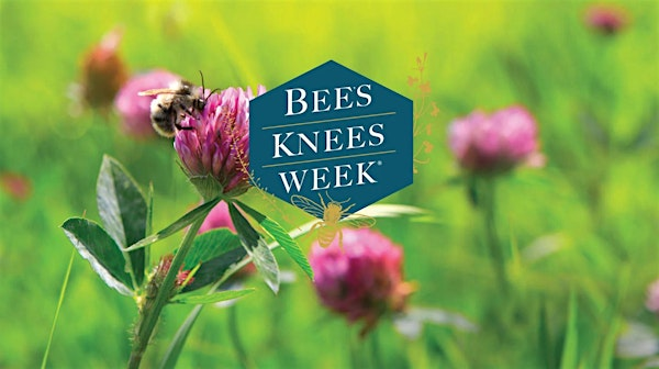 Bee's Knees Day | 495 Forest Avenue, Portland, ME, USA