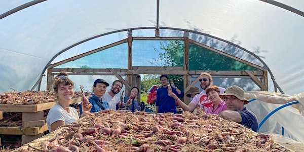 Summer Community Farmer Day - 21st June | The Community Farm