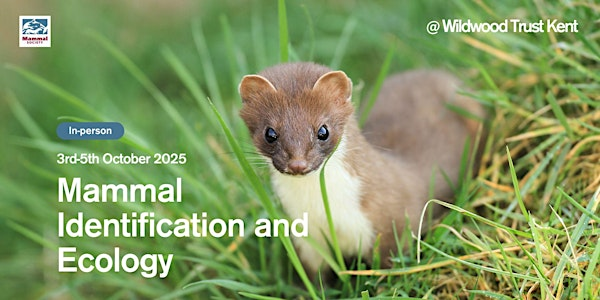 Mammal Identification and Ecology (in-person) | Wildwood Trust