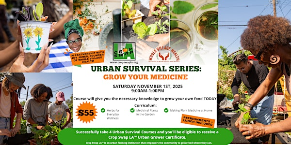 Urban Survival: Grow Your Medicine | The Degnan Microfarm